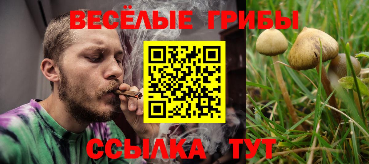 Острогожск  Псилоцибиновые грибы Cubensis  Вход с VPN 