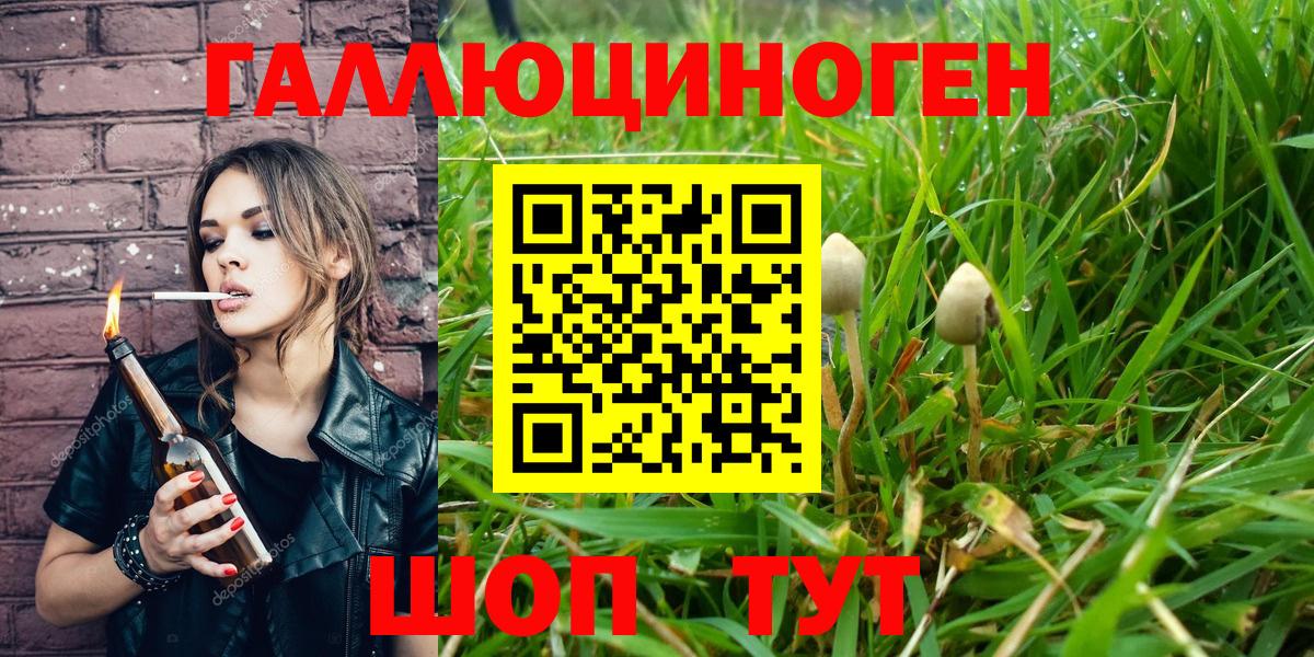 Псилоцибиновые грибы прущие грибы Острогожск